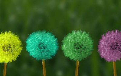 15 Tips para cultivar la Felicidad