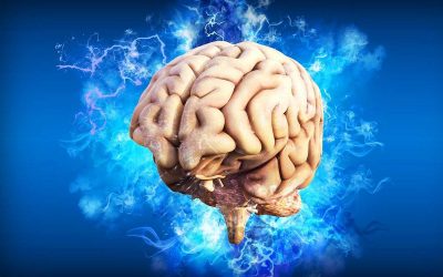 Serotonina y Mindfulness
