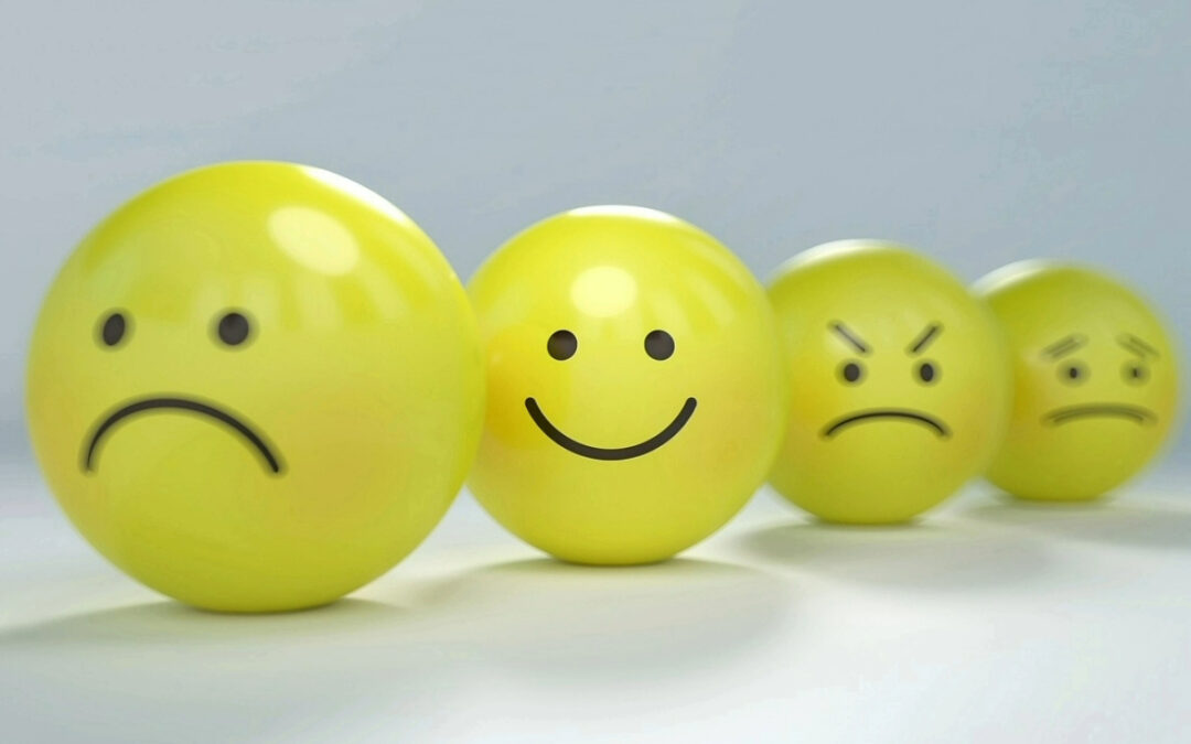 Retiro de Mindfulness «Conectando con la felicidad» – 26 octubre 2024