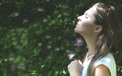 Retiro de Mindfulness «Reconectar con lo esencial, vivir con más calma» – 31 mayo 2025